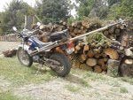 workhorse.jpg